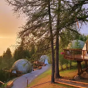 Hotel Alpin D'home &